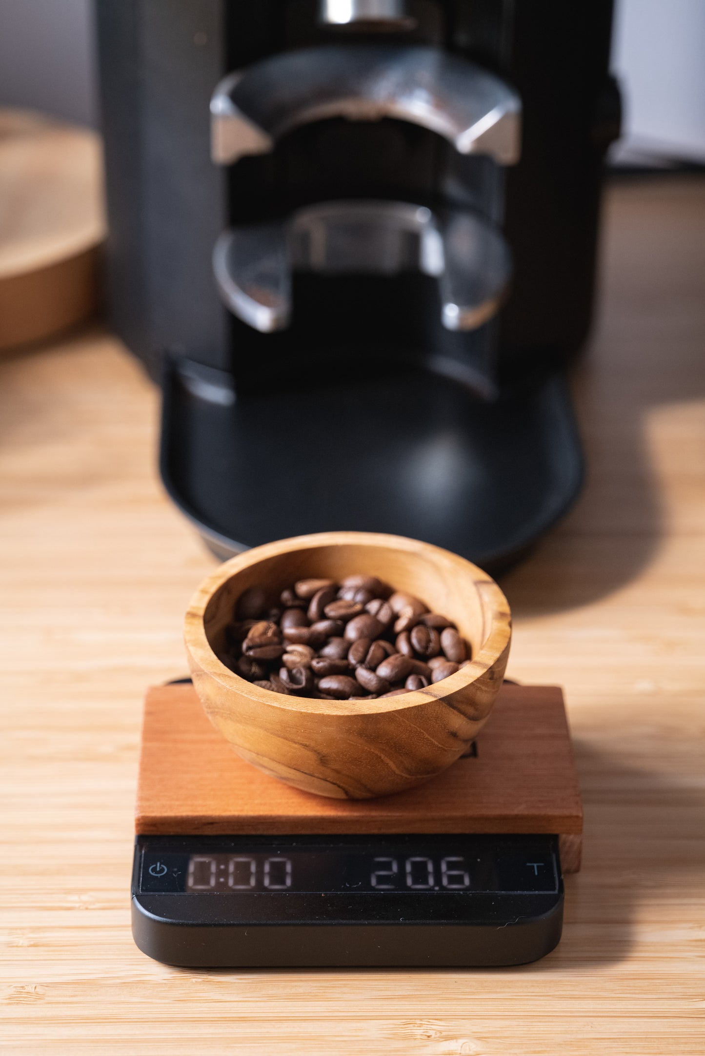 Teak Coffee Bean Bowl / Dosing Cup
